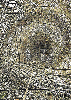 Big Bambú: Official Collateral Exhibition to the 54th Venice Biennale, 2011