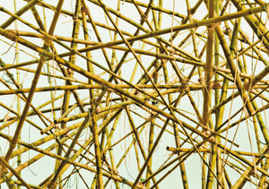 Big Bambú: Poster sheets