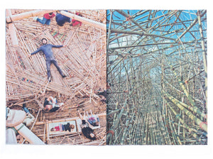 Mike + Doug Starn: Big Bambú