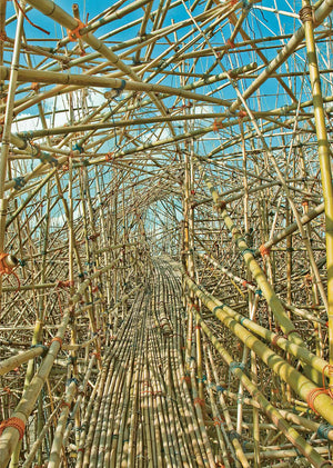 Big Bambú: "You Can't You Won't You Don't Stop", New York 2010-11