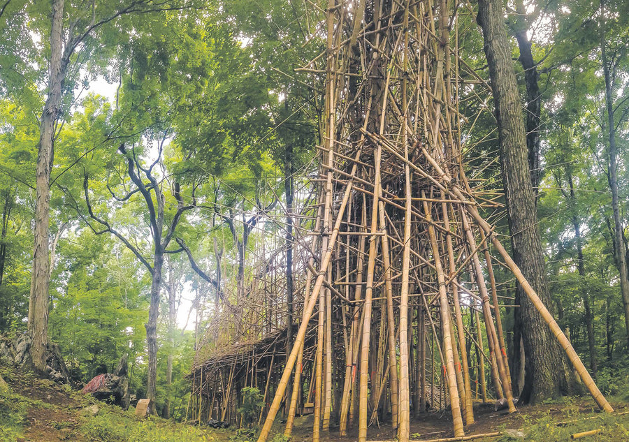 Big Bambú - Private commission, Upstate New York