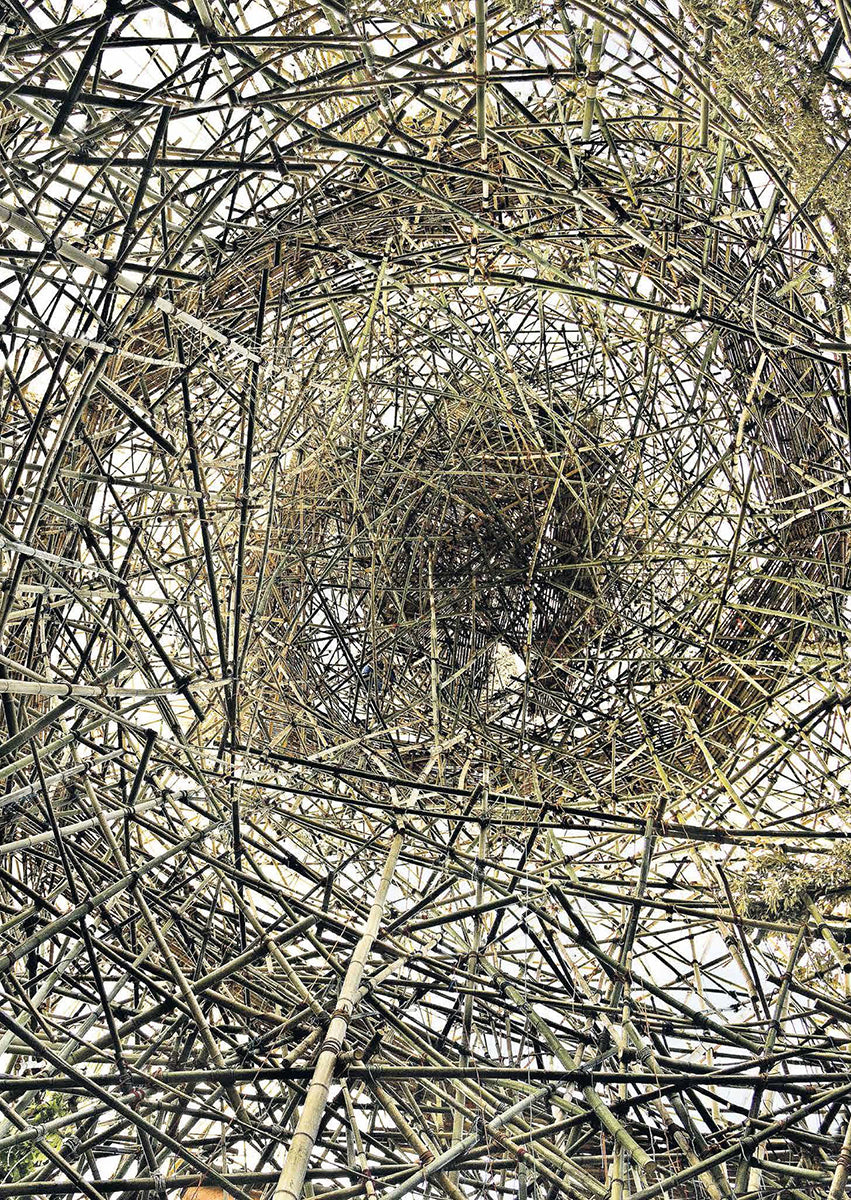 Big Bambú: Official Collateral Exhibition to the 54th Venice Biennale, 2011